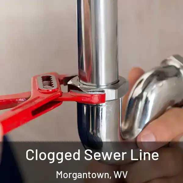  Clogged Sewer Line Morgantown, WV