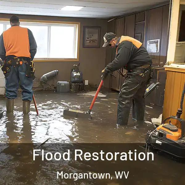  Flood Restoration Morgantown, WV