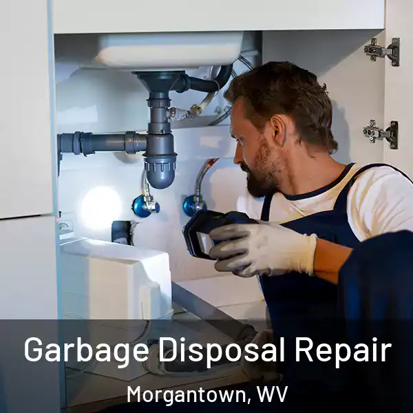  Garbage Disposal Repair Morgantown, WV
