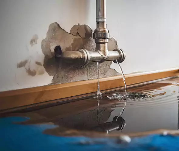 Professional Water Damage Restoration Experts in Morgantown, WV — Fast, Reliable & Certified
