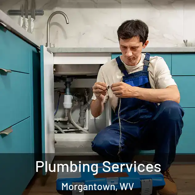  Plumbing Services Morgantown, WV