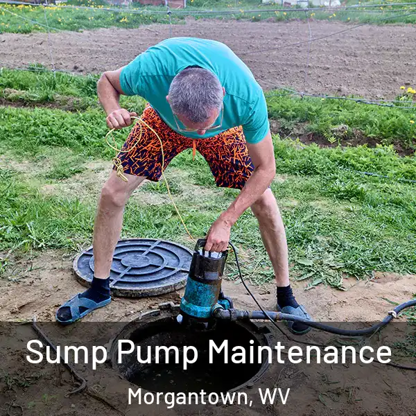  Sump Pump Maintenance Morgantown, WV