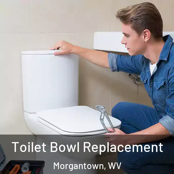  Toilet Bowl Replacement Morgantown, WV