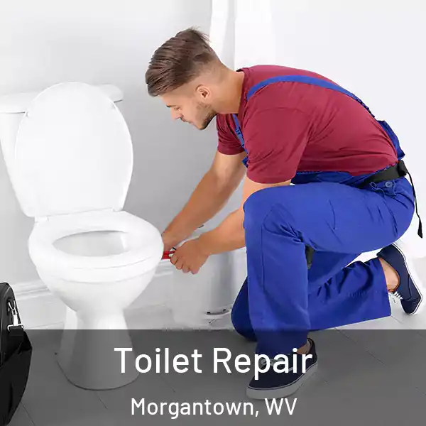  Toilet Repair Morgantown, WV